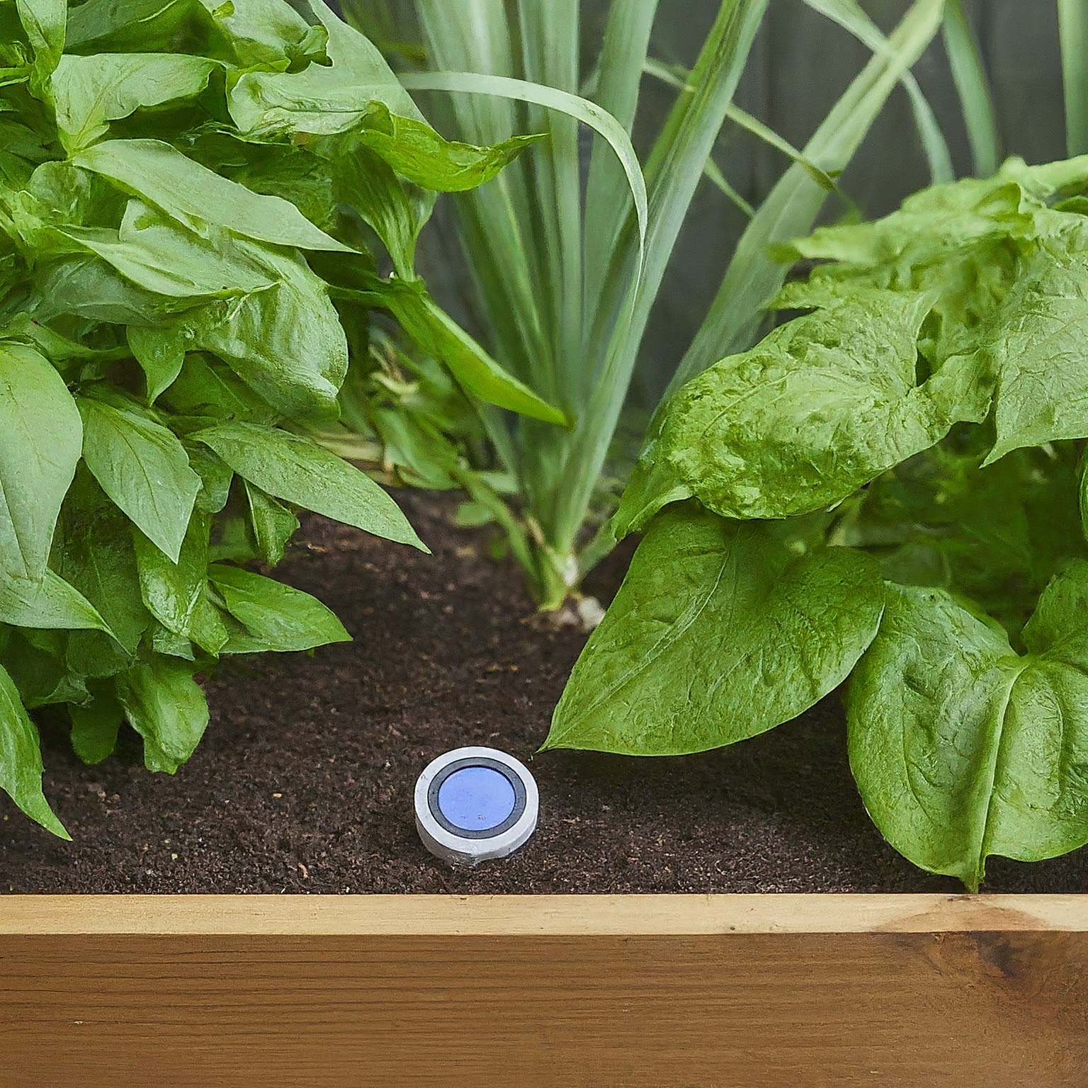 Gardening: A Deep Dive into Technology-Assisted Horticulture